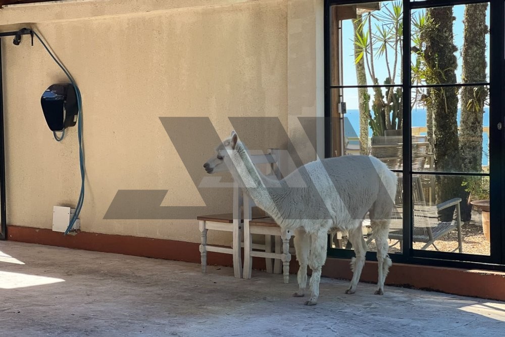 O Im�vel com a Vista Mais Linda da Interpraias